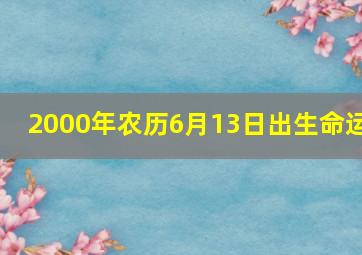 2000年农历6月13日出生命运