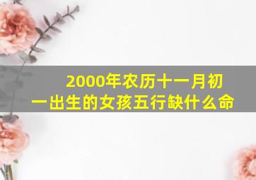 2000年农历十一月初一出生的女孩五行缺什么命