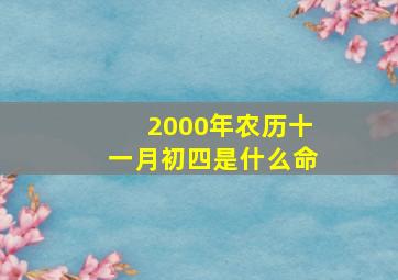 2000年农历十一月初四是什么命