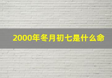 2000年冬月初七是什么命