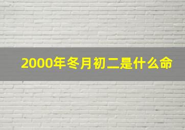 2000年冬月初二是什么命