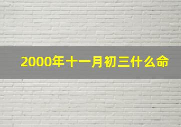 2000年十一月初三什么命