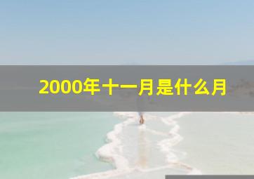 2000年十一月是什么月