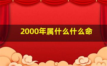 2000年属什么什么命