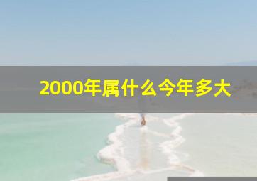 2000年属什么今年多大