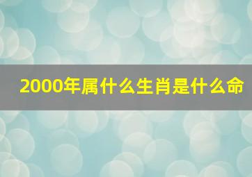 2000年属什么生肖是什么命