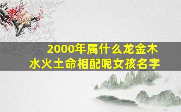 2000年属什么龙金木水火土命相配呢女孩名字