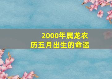 2000年属龙农历五月出生的命运