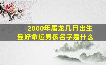 2000年属龙几月出生最好命运男孩名字是什么