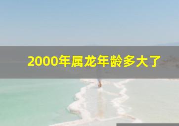 2000年属龙年龄多大了