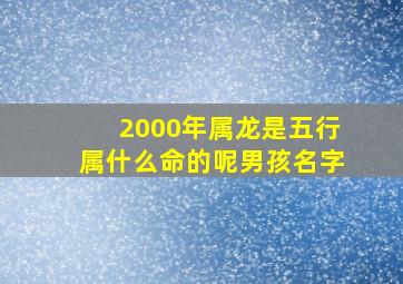 2000年属龙是五行属什么命的呢男孩名字