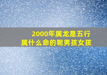 2000年属龙是五行属什么命的呢男孩女孩