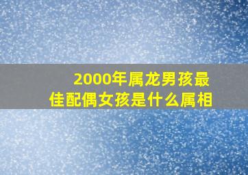 2000年属龙男孩最佳配偶女孩是什么属相