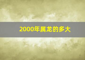 2000年属龙的多大