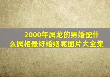 2000年属龙的男婚配什么属相最好婚姻呢图片大全集