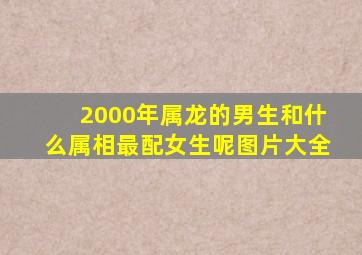 2000年属龙的男生和什么属相最配女生呢图片大全