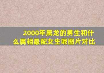 2000年属龙的男生和什么属相最配女生呢图片对比