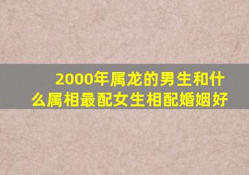 2000年属龙的男生和什么属相最配女生相配婚姻好