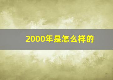 2000年是怎么样的