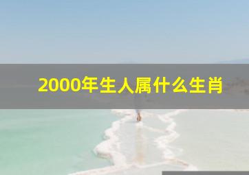 2000年生人属什么生肖