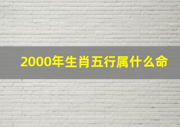 2000年生肖五行属什么命