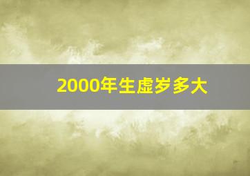 2000年生虚岁多大