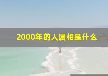 2000年的人属相是什么