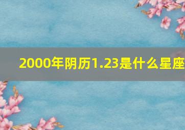 2000年阴历1.23是什么星座