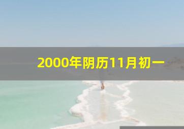 2000年阴历11月初一