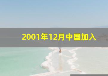 2001年12月中国加入