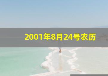 2001年8月24号农历