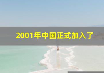 2001年中国正式加入了