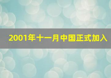 2001年十一月中国正式加入