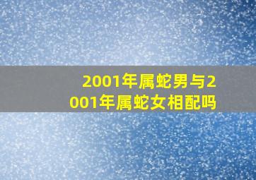 2001年属蛇男与2001年属蛇女相配吗