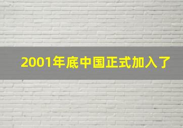 2001年底中国正式加入了