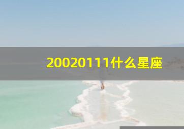 20020111什么星座