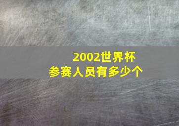 2002世界杯参赛人员有多少个