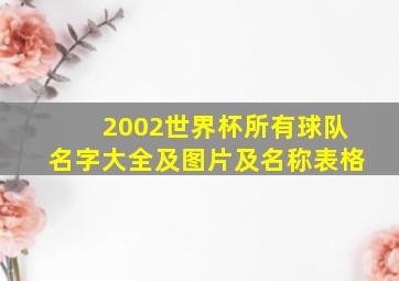 2002世界杯所有球队名字大全及图片及名称表格