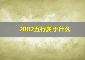 2002五行属于什么