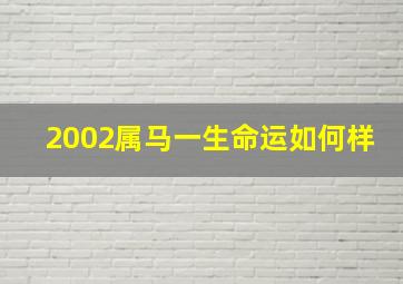 2002属马一生命运如何样