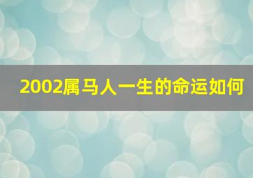 2002属马人一生的命运如何