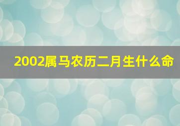 2002属马农历二月生什么命