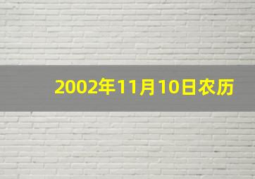 2002年11月10日农历