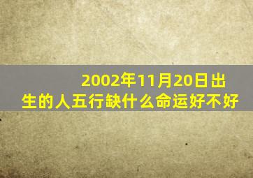 2002年11月20日出生的人五行缺什么命运好不好