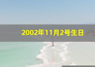 2002年11月2号生日