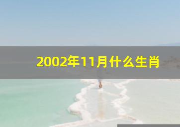 2002年11月什么生肖