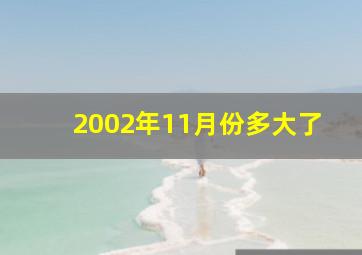 2002年11月份多大了