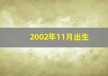 2002年11月出生