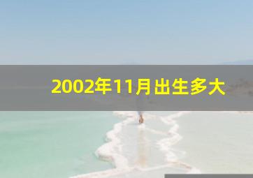 2002年11月出生多大