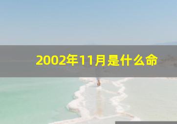 2002年11月是什么命